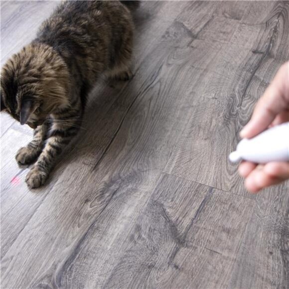 Loco Laser Electronic Light Laser Cat Toy Battery Powered - Picture 6 of 8